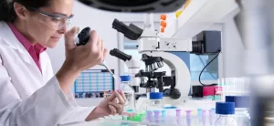 accelerare la ricerca