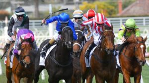 Cavallo da Corsa, quanto conviene allevarne uno? Costi, responsabilità, guadagno