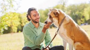 Cani che non perdono pelo: le cinque razze più acquistate d'Italia