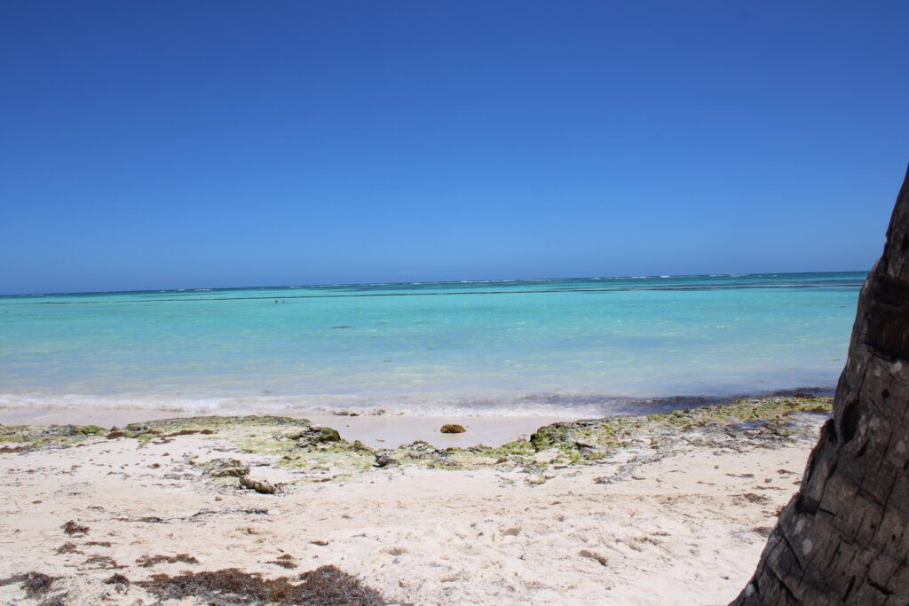 JUANILLO BEACH, Cultura Sudamericana pt.5