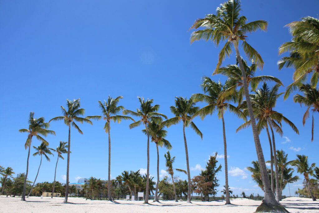 JUANILLO BEACH, Cultura Sudamericana pt.5