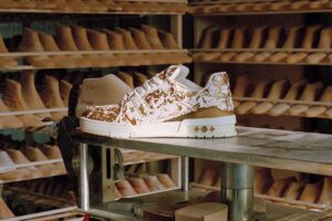 LV Trainer copertina