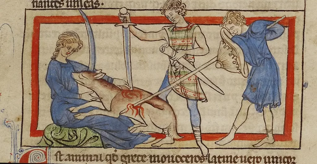 come gli uomini medievali hanno rappresentato gli animali google images disponibile gratuitamente per uso e condivisione