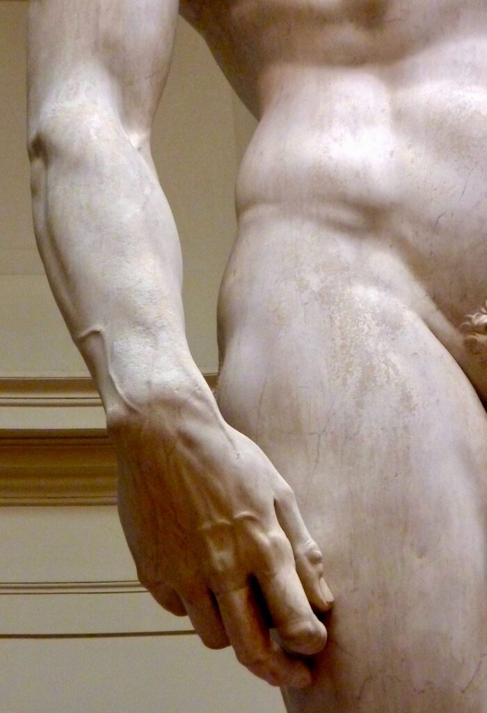 IL DAVID DI MICHELANGELO è PORNO?

PEXELS FREE ROYALTY IMAGES