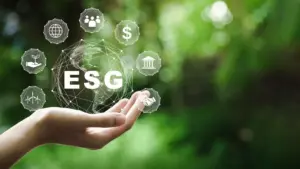 Il ruolo dell'ESG Consultant, la guida di MoltoUomo.it su questa nuova figura professionale