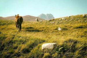 Una delle mete preferite a settembre è l'Abruzzo