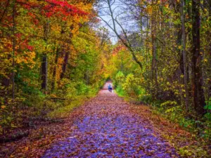 Le Migliori Destinazioni per una Vacanza d'Autunno 2023: Alla Scoperta dei Luoghi Incantevoli da Visitare