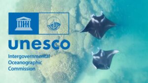 L'Iniziativa Ocean Literacy: Educare per un Futuro Sostenibile