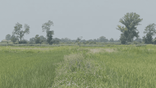 Visioni dal Mondo 2023: al via 9° Festival Internazionale del Documentario