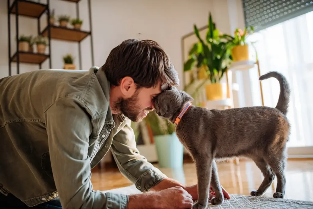 Giornata Mondiale della Salute Mentale: I Tangibili Benefici di Avere un Animale da Compagnia
