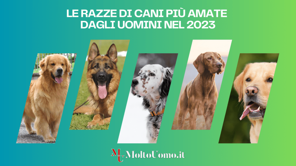Le Razze di Cani più Amate dagli Uomini nel 2023