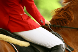 Fieracavalli Verona, cresce l'attesa per l'edizione 2023.