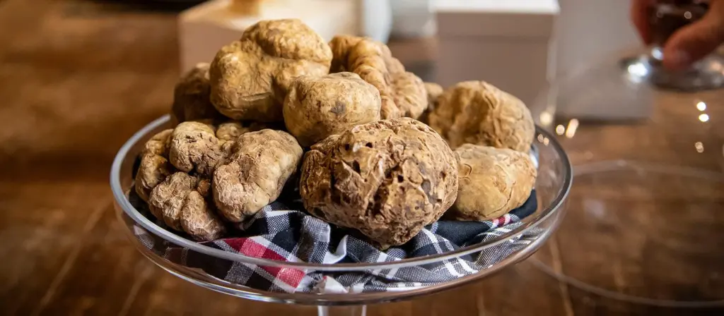 La Fiera Internazionale del Tartufo Bianco di Alba, al via la 93ma edizione dell'evento di alta gastronomia autunnale