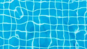 insetti-piscina