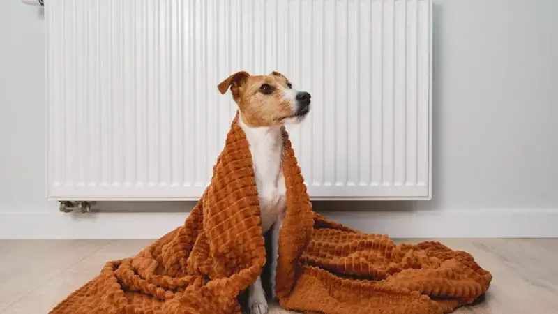 Riscaldamento domestico: Aumenti Fino a 1.200€ nella tua Bolletta del Gas!