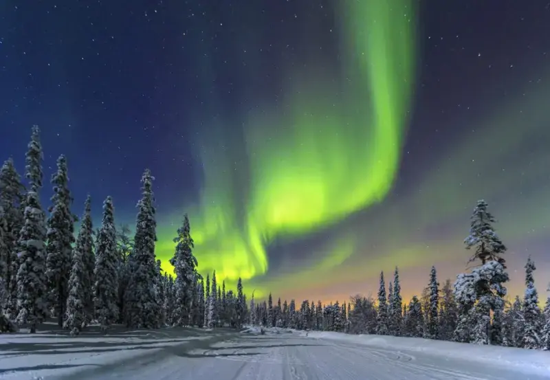 Sotto Cieli Magici: Esplorando le Meraviglie dell'Aurora Boreale in Tre Continenti