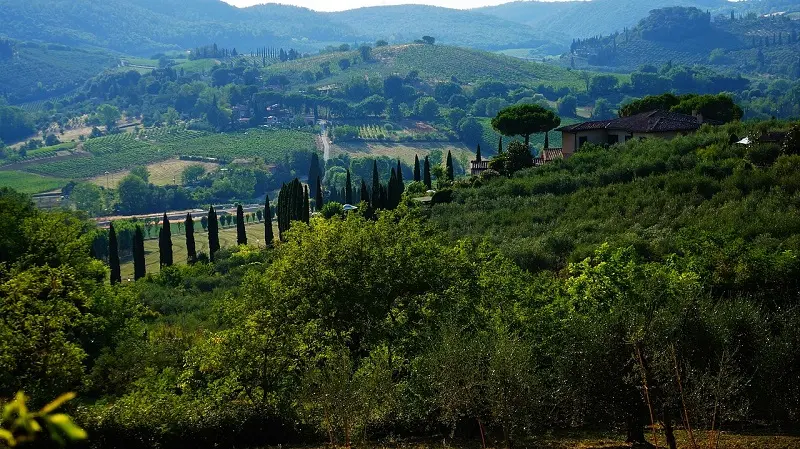 Cos'è il Mental Wellness