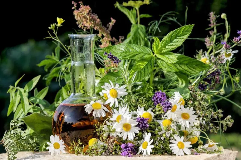 Come rafforzare il sistema immunitario dopo le feste: i consigli per prevenire i malanni di stagione