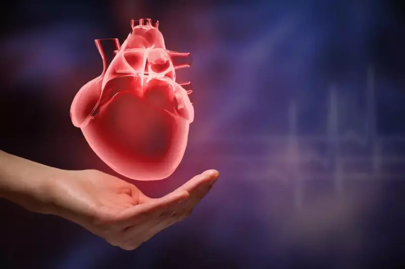 Il Cuore Conta: Guida al Benessere Cardiovascolare per una Vita Duratura