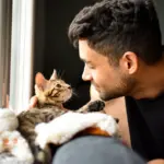 Il cane è il migliore amico dell’uomo… e il gatto?