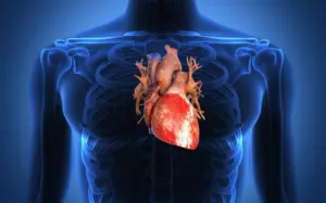 Pericardite: quali sono i controlli preventivi per un uomo e come riconoscere i sintomi