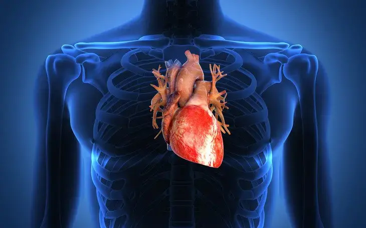 Pericardite: quali sono i controlli preventivi per un uomo e come riconoscere i sintomi