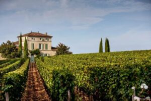 Il Petrus del 1982, la meraviglia in un calice di pregiatissimo Bordeaux