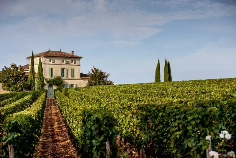 Il Petrus del 1982, la meraviglia in un calice di pregiatissimo Bordeaux