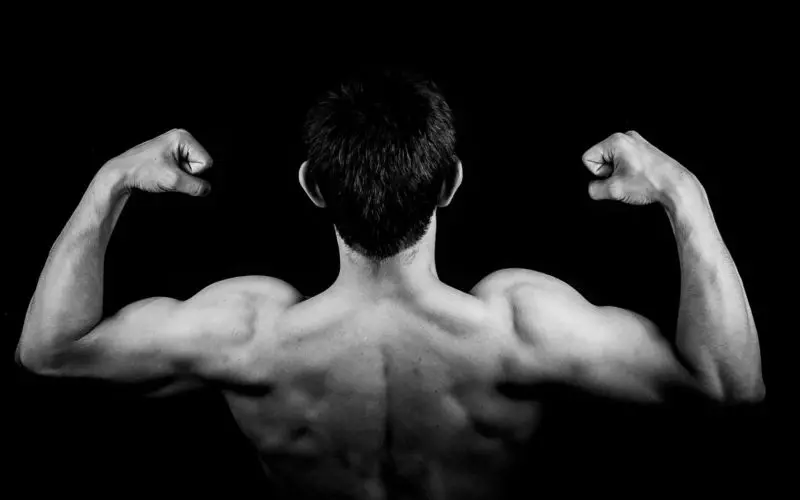 Massa muscolare