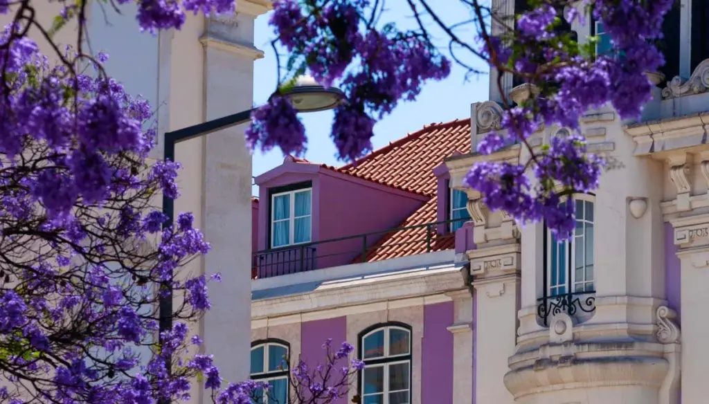 Esplorare Lisbona in Primavera: Parchi Incantevoli ed Emozioni Uniche