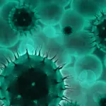 La Silenziosa Minaccia che viene dall'Oriente: la Malattia Carnivora in Giappone
