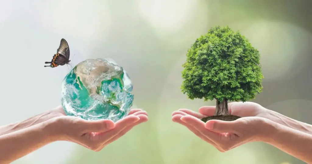 La parola biodiversità sicuramente non Vi suonerà nuova, in quanto spesso viene menzionata in molto ambiti, ma quale è il suo reale significato?
