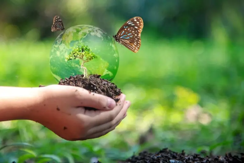 La parola biodiversità sicuramente non Vi suonerà nuova, in quanto spesso viene menzionata in molto ambiti, ma quale è il suo reale significato?