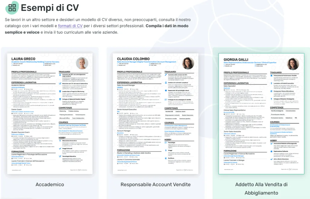 Curriculum online con Enhancv