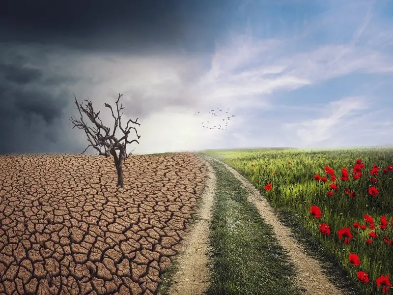 La Terra è il bene più prezioso che possediamo; proprio per questo motivo dobbiamo impegnarci a tutelarne la salute. La Giornata Mondiale della Terra non è solo una celebrazione, ma anche un invito alla cura dell'ecosistema