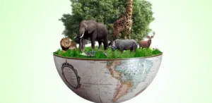 La parola biodiversità sicuramente non Vi suonerà nuova, in quanto spesso viene menzionata in molto ambiti, ma quale è il suo reale significato