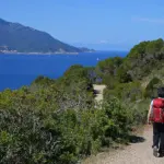 Sentieri Elbani: Scoperte e Avventure Camminando all’Isola d’Elba