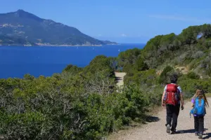 Sentieri Elbani: Scoperte e Avventure Camminando all’Isola d’Elba