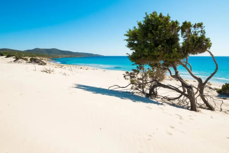 Sardegna vs Salento: La Scelta per un’Estate da Sogno