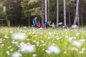 family-festival-dolomiti
