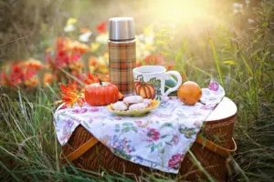 Le-Migliori-Aree-Pic-Nic-in-Italia-Una-Selezione-Regionale