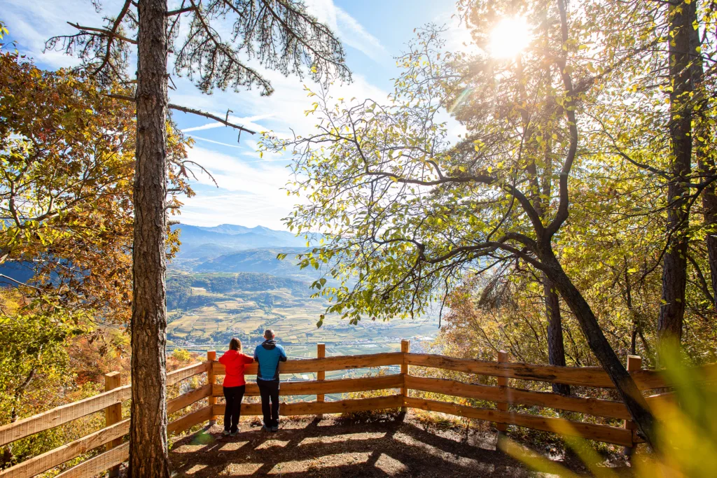 La magia dell'autunno si fonde con i sapori della tradizione trentina nella pittoresca San Lorenzo Dorsino, dove dal 31 ottobre al 3 novembre 2024 si celebra la rinomata Sagra della Ciuìga