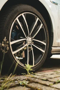 pexels-juanvidas-26727699