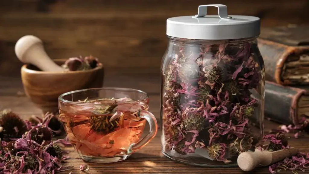 Natale 2024: detox post festività