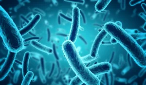 Allarme Salmonella- come proteggersi