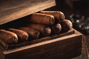 I sigari habanos rappresentano la tradizione cubana ed offrono un’esperienza di fumo di alta qualità