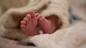 Buon nuovi nati 2025