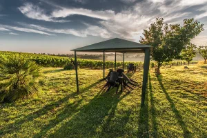 Gazebo