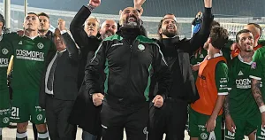 Avellino in Serie B: il ritorno dei Lupi dopo 7 anni di Purgatorio