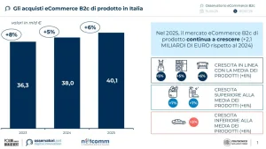 E-commerce B2C in Italia: Il Settore dell'Abbigliamento Cresce in un Mercato Digitale in Espansione.